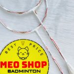Vợt cầu lông Mizuno Altius 02 Control (Nội địa)